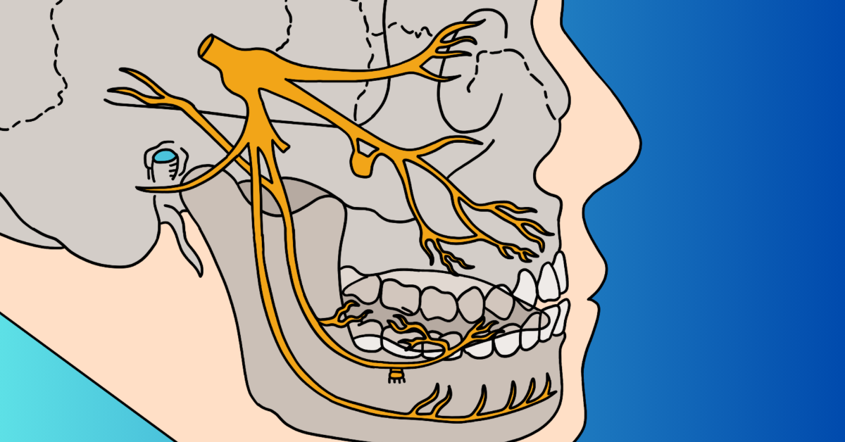 Trigemino, occlusione e osteopatia: perch&eacute; la branca oftalmica &egrave; cos&igrave; importante