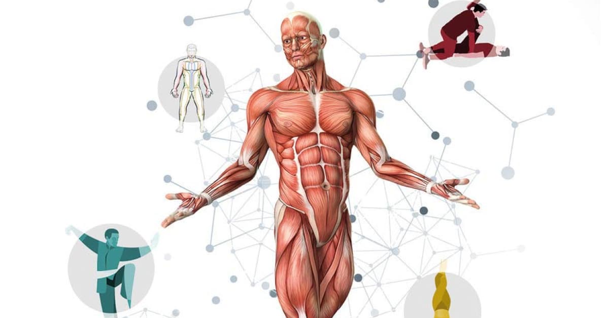 PNEI e Osteopatia: lo stesso paradigma nell’impostazione di una terapia integrata