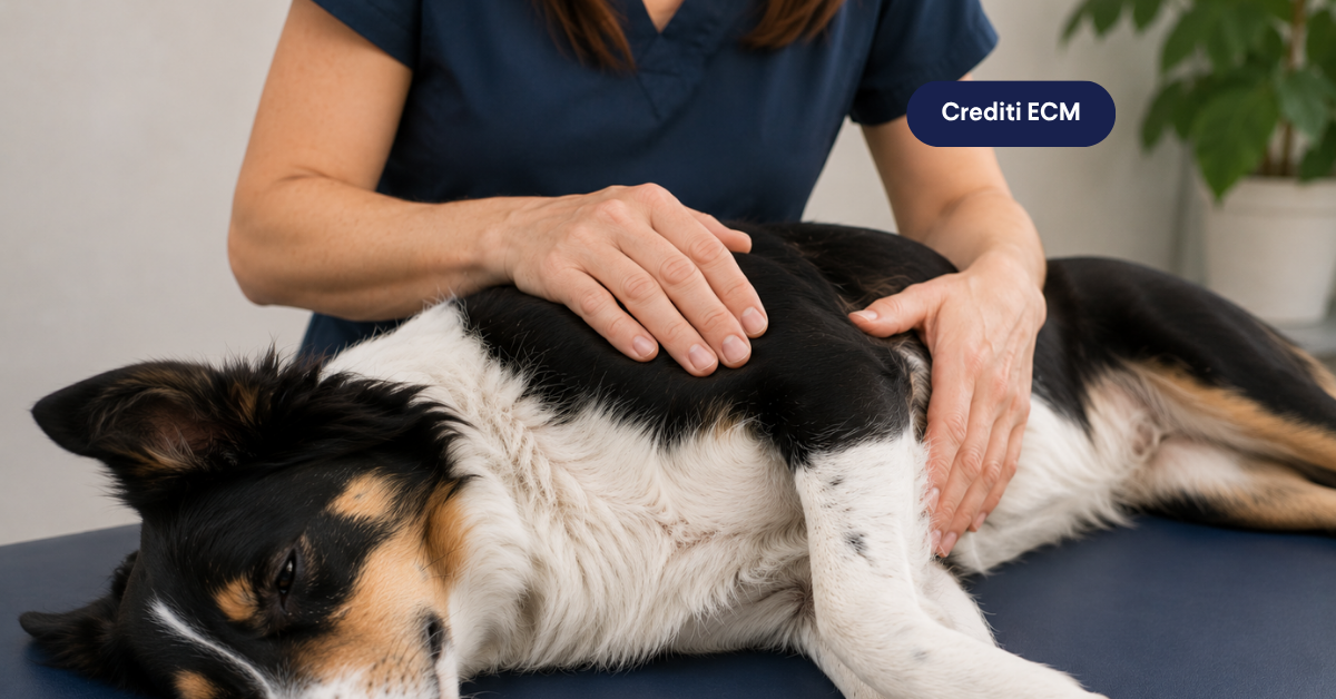 Tecniche osteopatiche applicate al cane